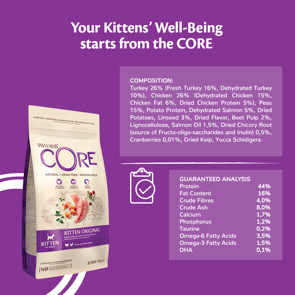 wellness core kitten feeding guide