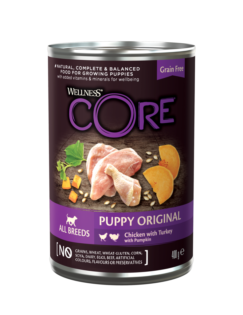 Wellness core natural grain free dry dog 2024 food puppy